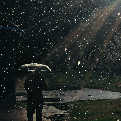 Photo #14123609