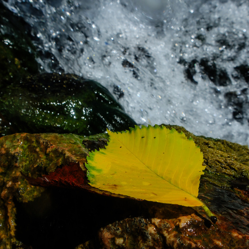 Photo #14123688