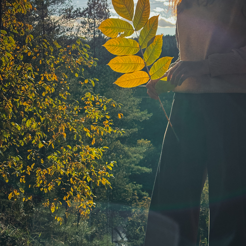 Photo #14123725