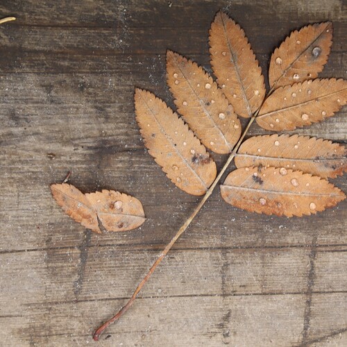 Photo #14123813