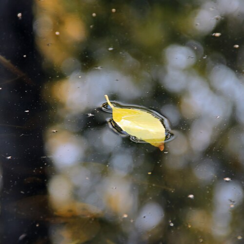 Photo #14123883