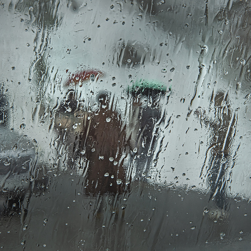 Photo #14123919