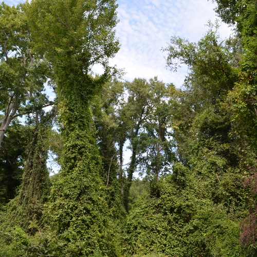 Photo #14123955