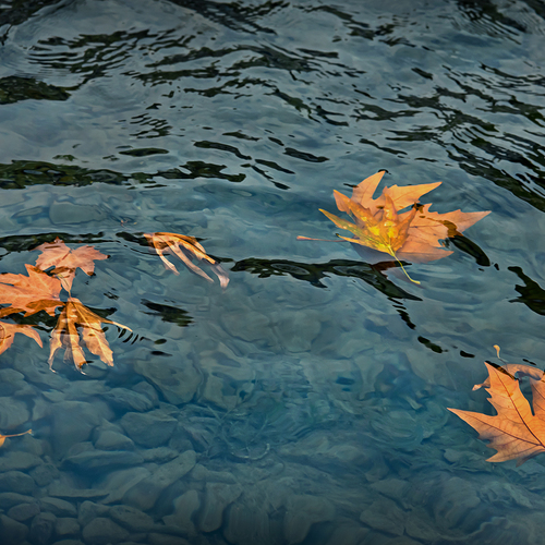 Photo #14123966