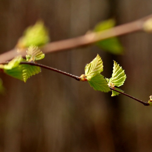 Photo #14123979