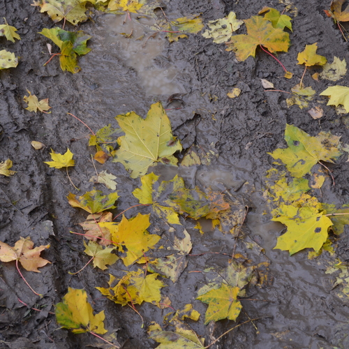 Photo #14123982