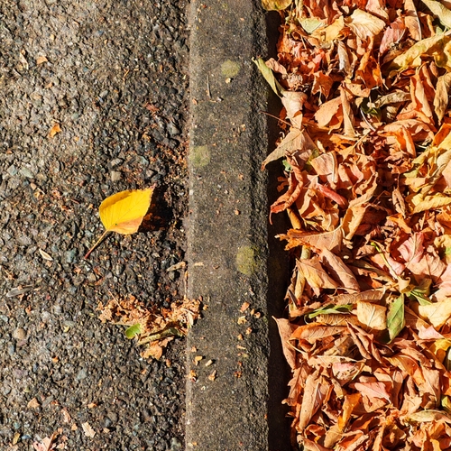 Photo #14123987