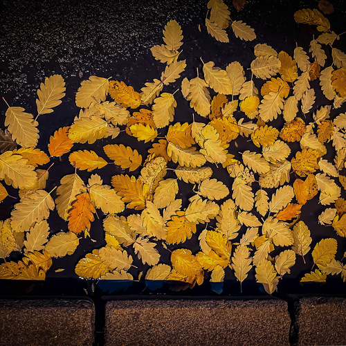 Photo #14123997