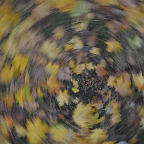 Photo #14124016