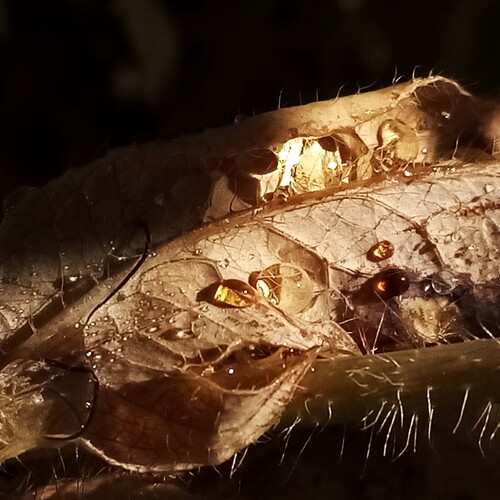 Photo #14124123