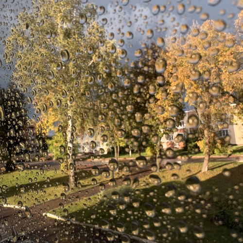 Photo #14124170