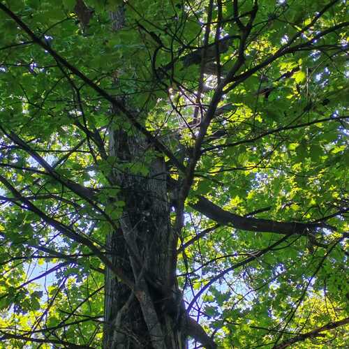 Photo #14124231