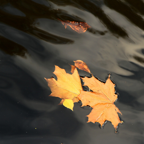 Photo #14124240