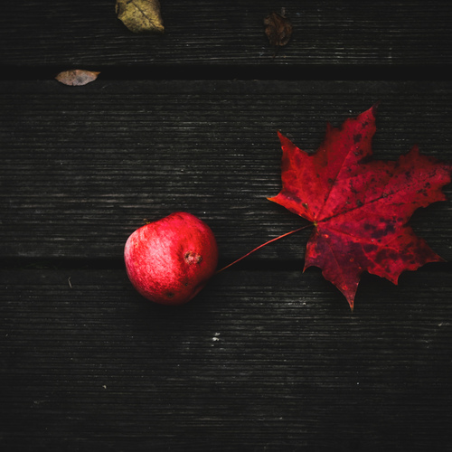 Photo #14124267