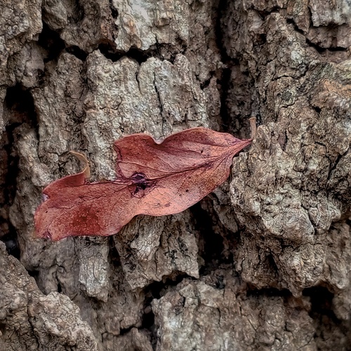 Photo #14124313