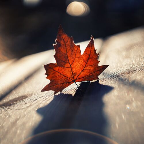 Photo #14124345