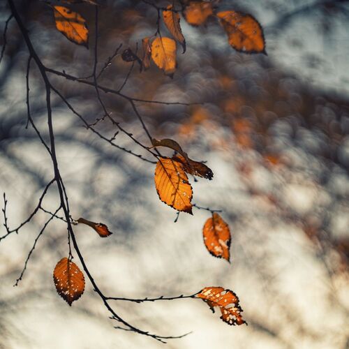 Photo #14124373