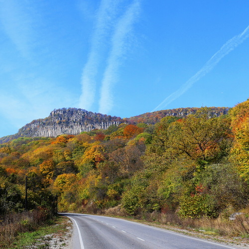 Photo #14124383