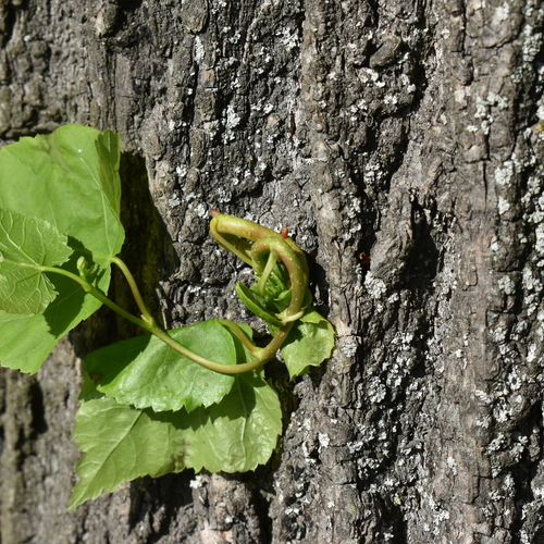 Photo #14124402
