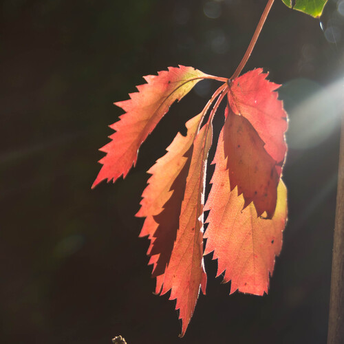 Photo #14124461