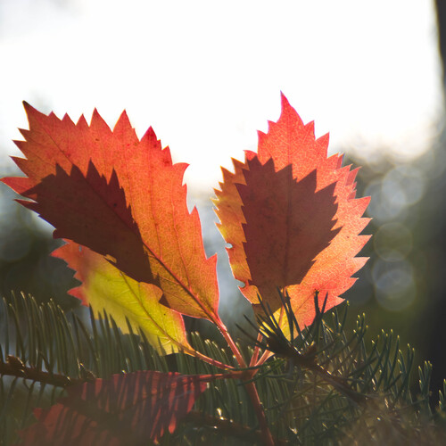 Photo #14124463