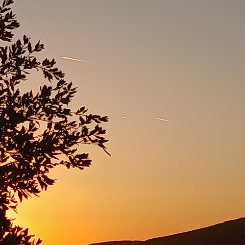 Photo #14124473