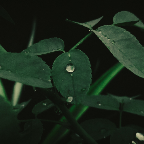 Photo #14124552