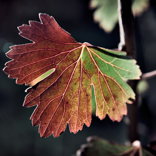 Photo #14124566