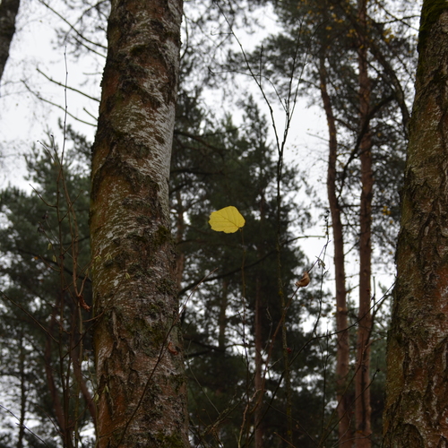 Photo #14124572