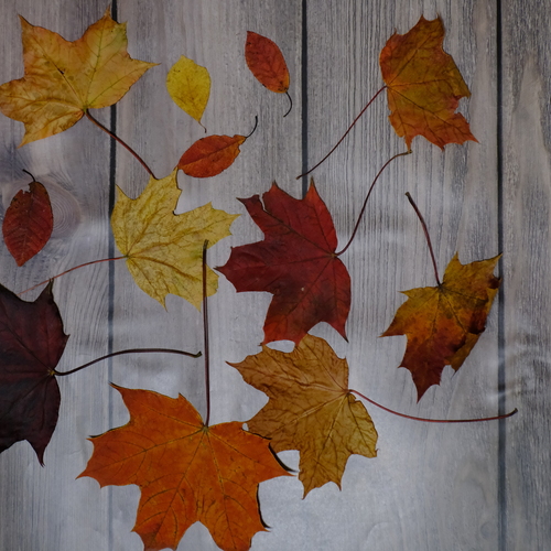 Photo #14124611