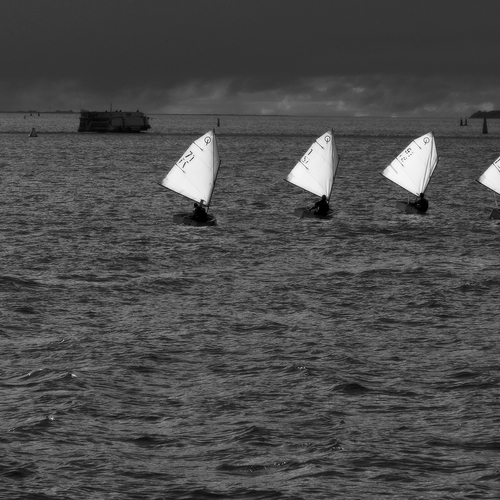 Photo #14124615