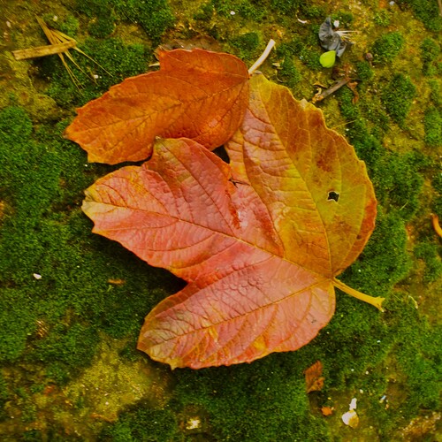 Photo #14124624