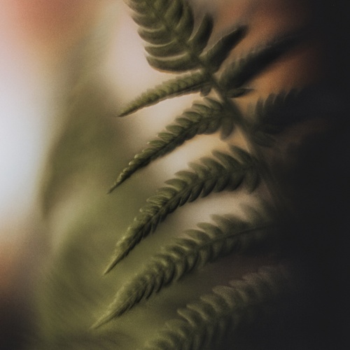 Photo #14124649