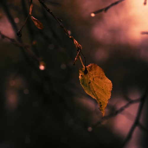 Photo #14124676