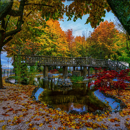 Photo #14124740
