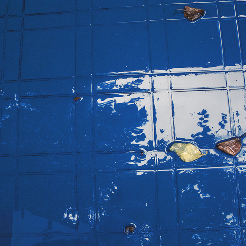 Photo #14124744