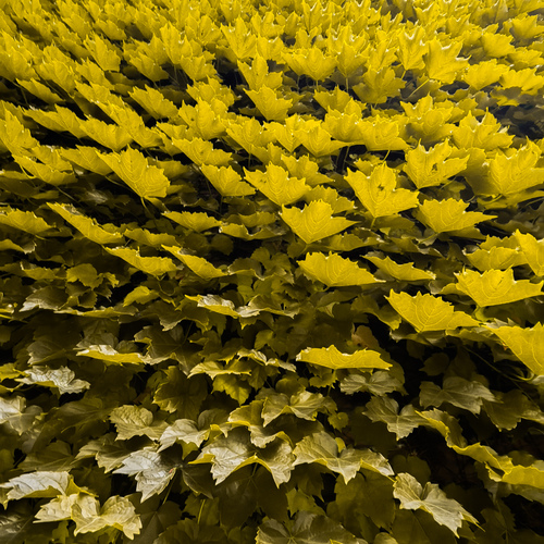 Photo #14124827