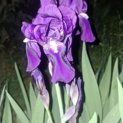 Photo #14124830