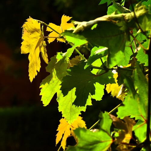 Photo #14124939