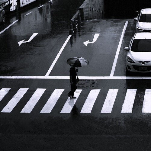 Photo #14124950