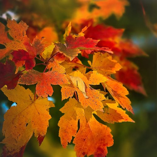 Photo #14124977