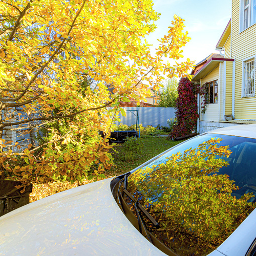 Photo #14125033