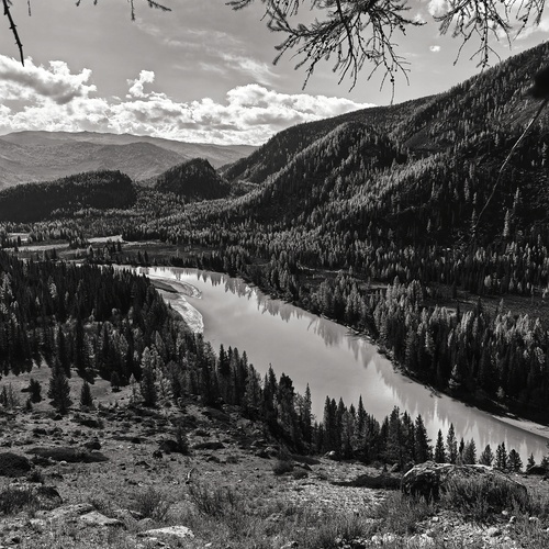 Photo #14125129