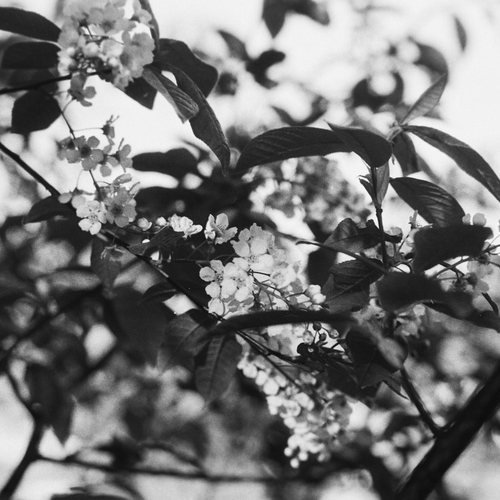 Photo #14125177