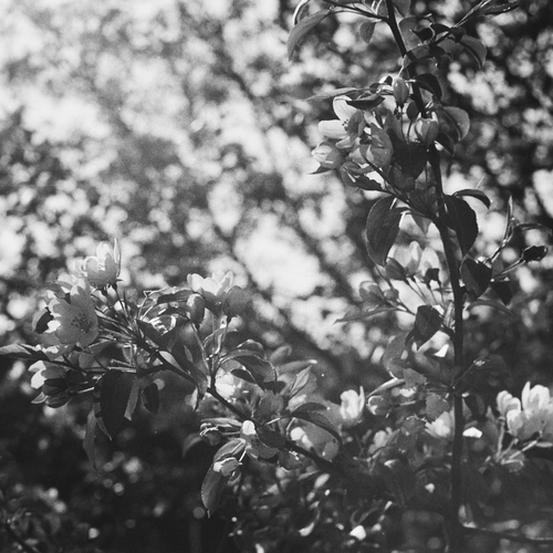 Photo #14125178