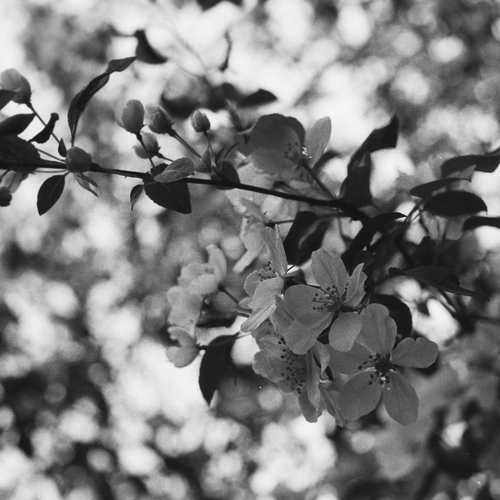 Photo #14125179