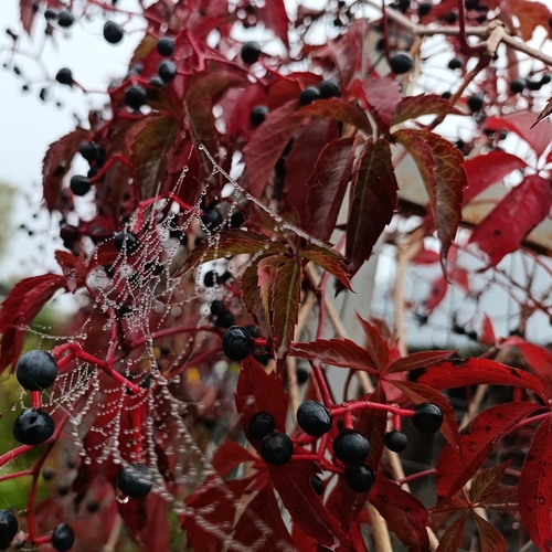 Photo #14125228