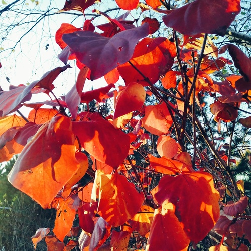Photo #14125318