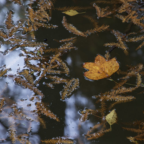 Photo #14125331