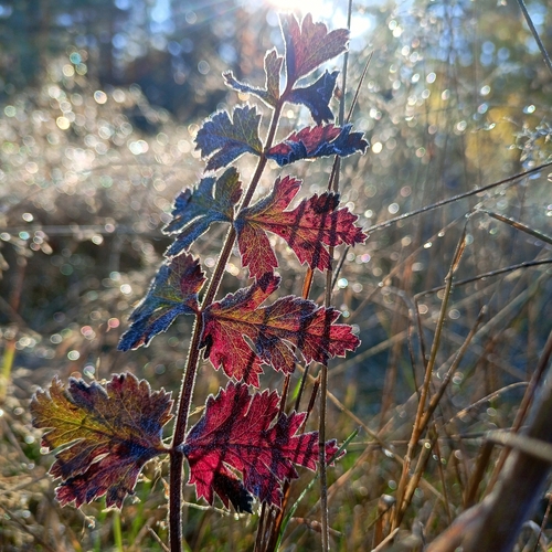 Photo #14125354